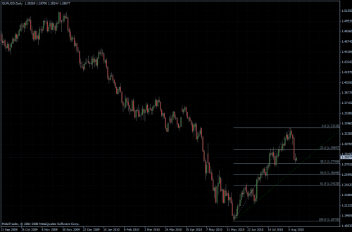 EURUSD 13.08.10 - daily