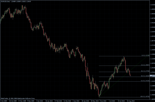 EURUSD 24.08.10 - daily