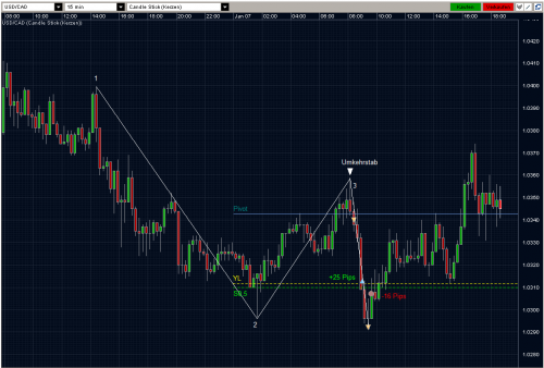 USDCAD 07.01.10